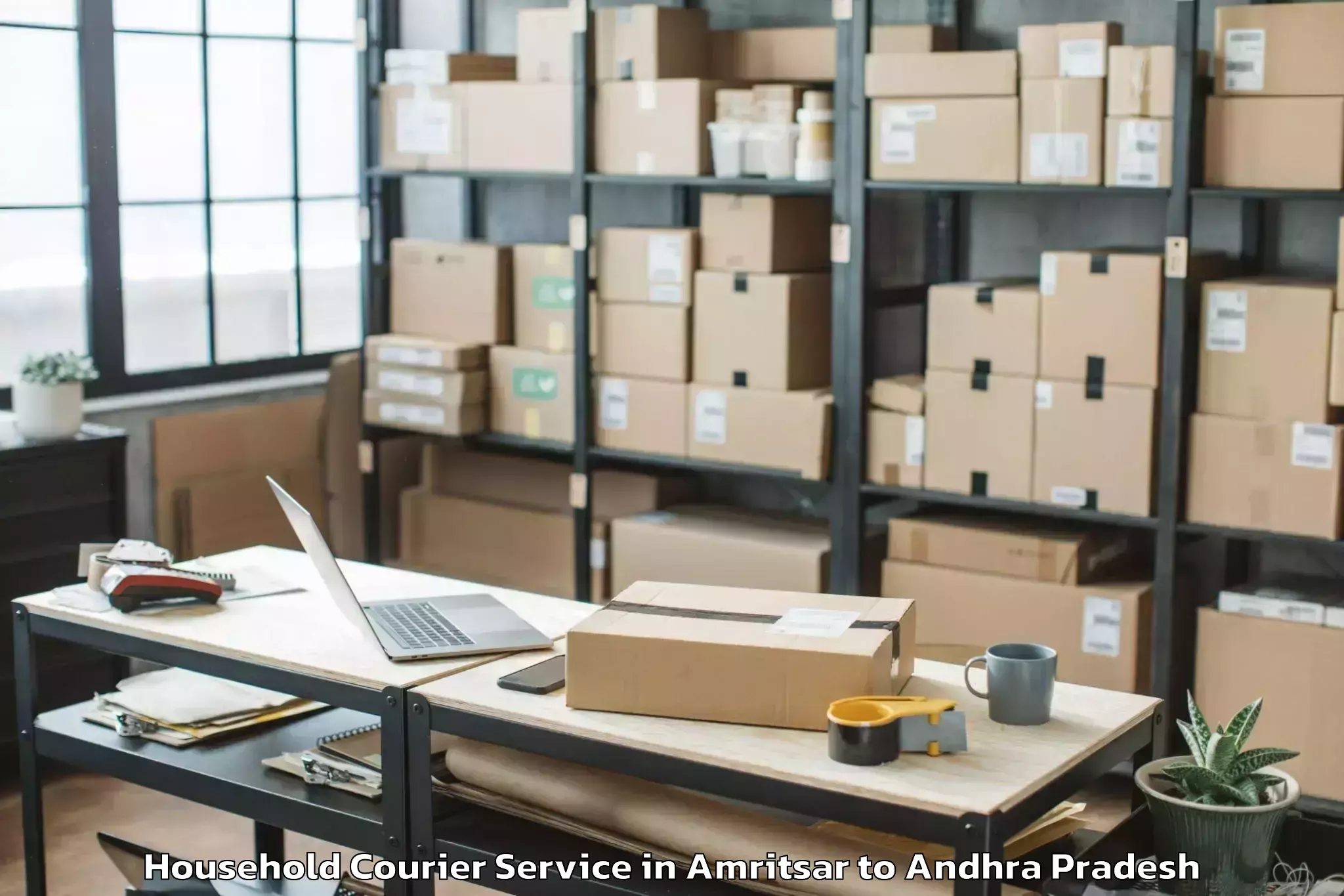 Comprehensive Amritsar to Peddapuram Household Courier